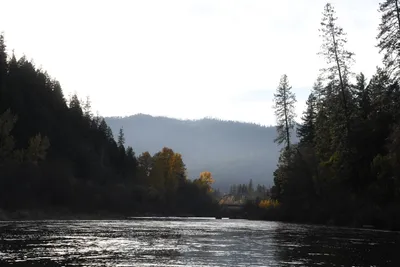 DSC_0304 (Large).JPG